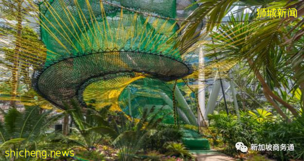 最新总结 新加坡周末溜娃绝好去处