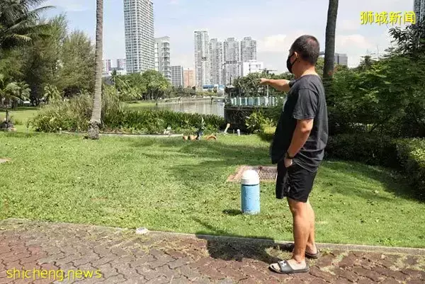 興奮跟拍30只水獺 晨運男慘遭追咬