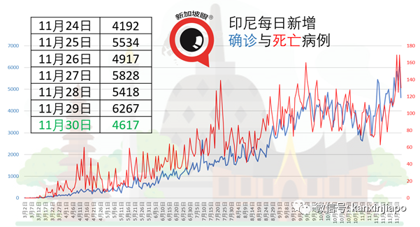 新加坡今增10 | 美专家：金正恩已接种中国新冠疫苗