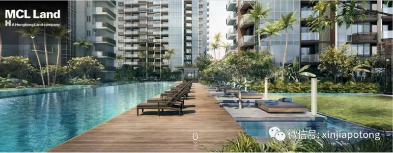 疫情後，新加坡又多了這些億萬富豪！有幾個中國來的