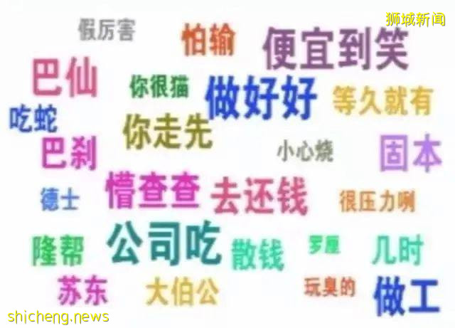 看完新加坡华语入门,我好像不会说华语了