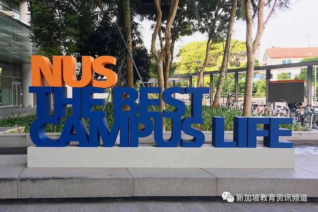 实习还能这么玩？新加坡国大海外学院了解一下