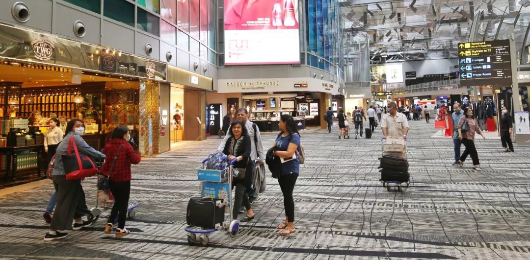 王嬿青：鼠年流浪记