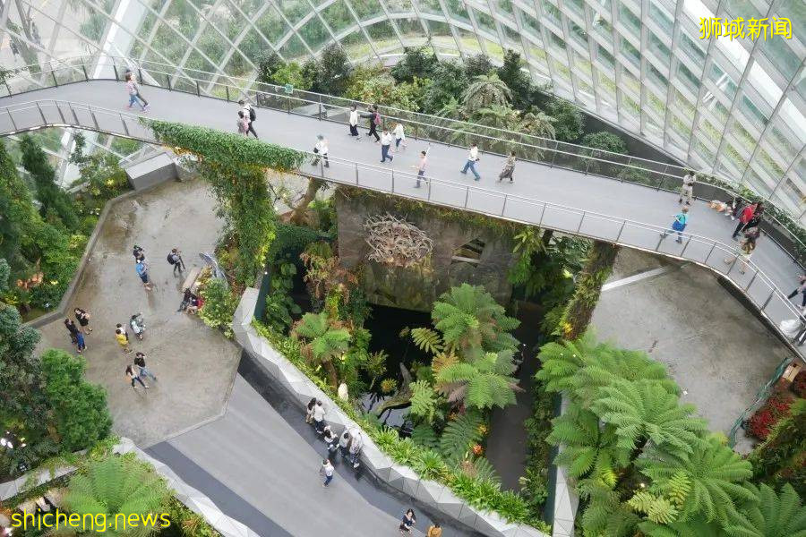 新加坡放宽旅游限制，小众网红景点等你来打卡