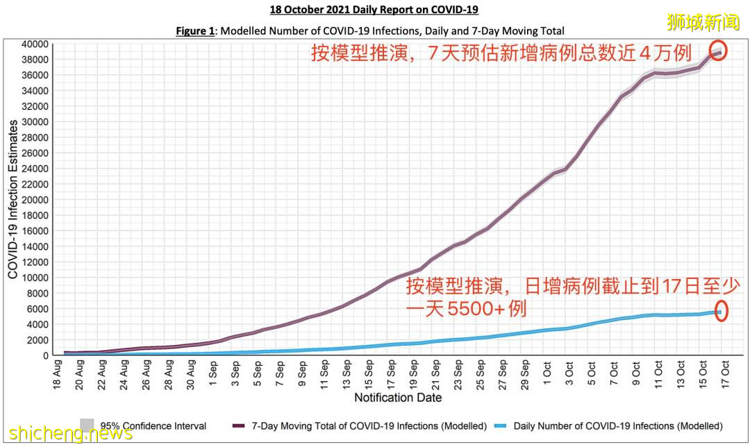 专家：新加坡实际确诊比官方数字多！“阳性后，去诊所做核酸检测被拒”
