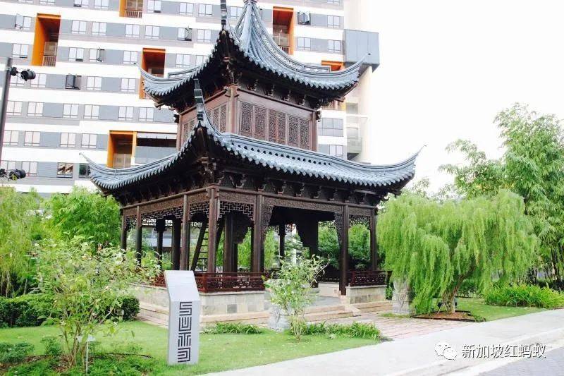 不出國也能玩轉“中國”? 新加坡這些地方很有中國味兒