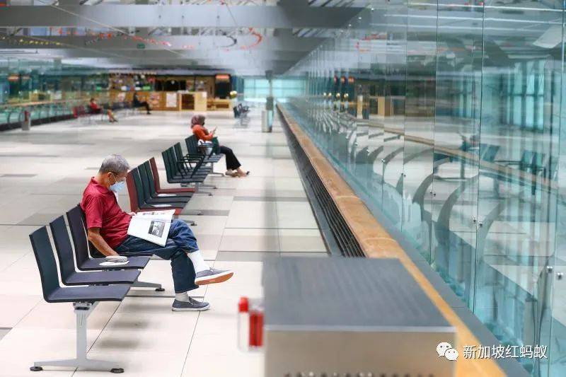 讓新加坡的天空再度熱鬧起來　交通部長：政府將積極主動出擊