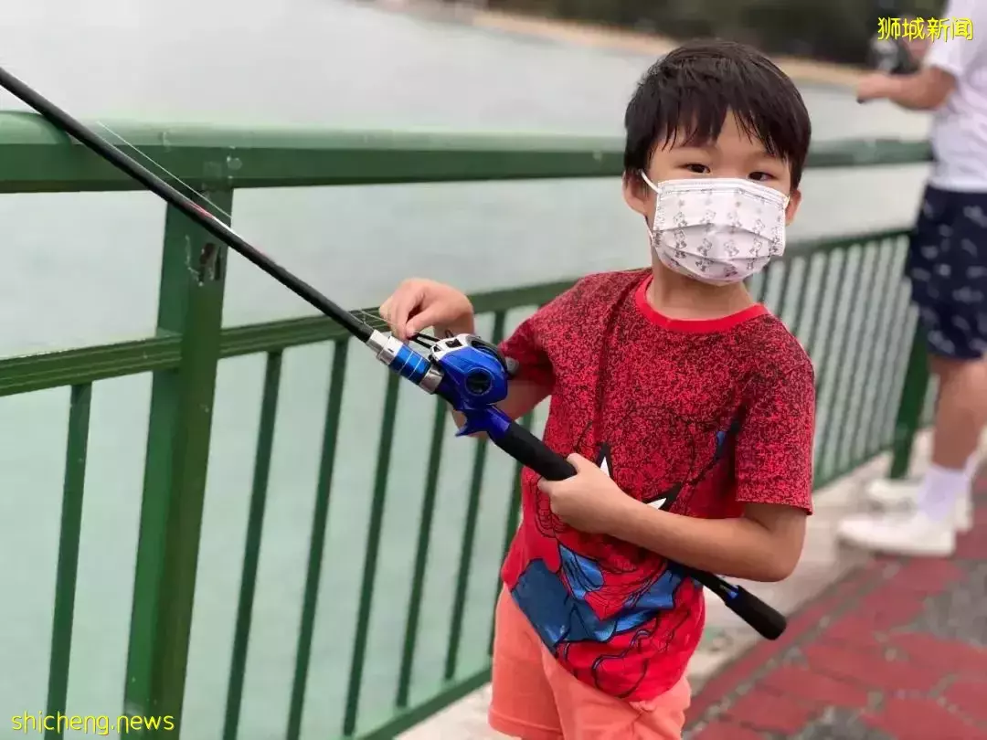 新加坡这个地方好神奇,新手钓鱼也能满载而归