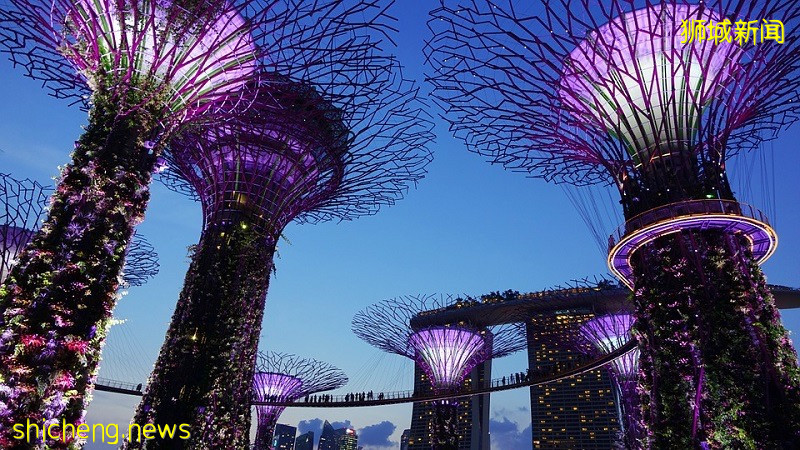 新加坡移民资格及所需材料