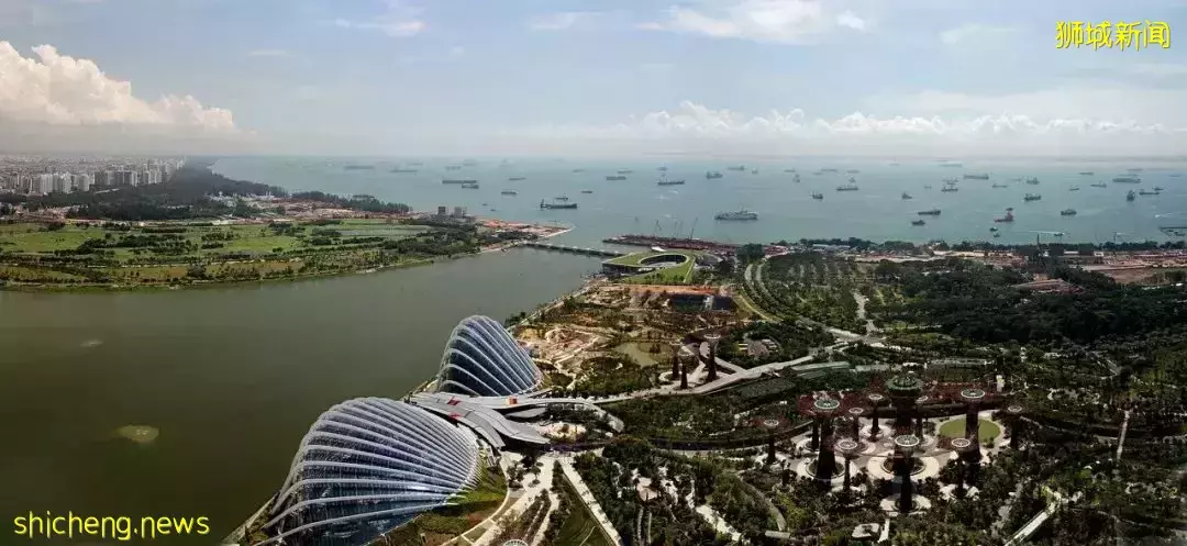 新加坡移民，精英瞬間成了“下等人”