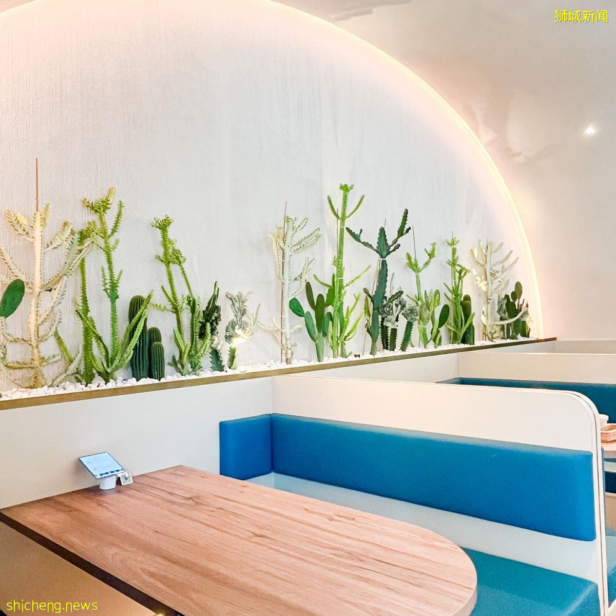 Huggs 一杯咖啡 一個擁抱 我都要