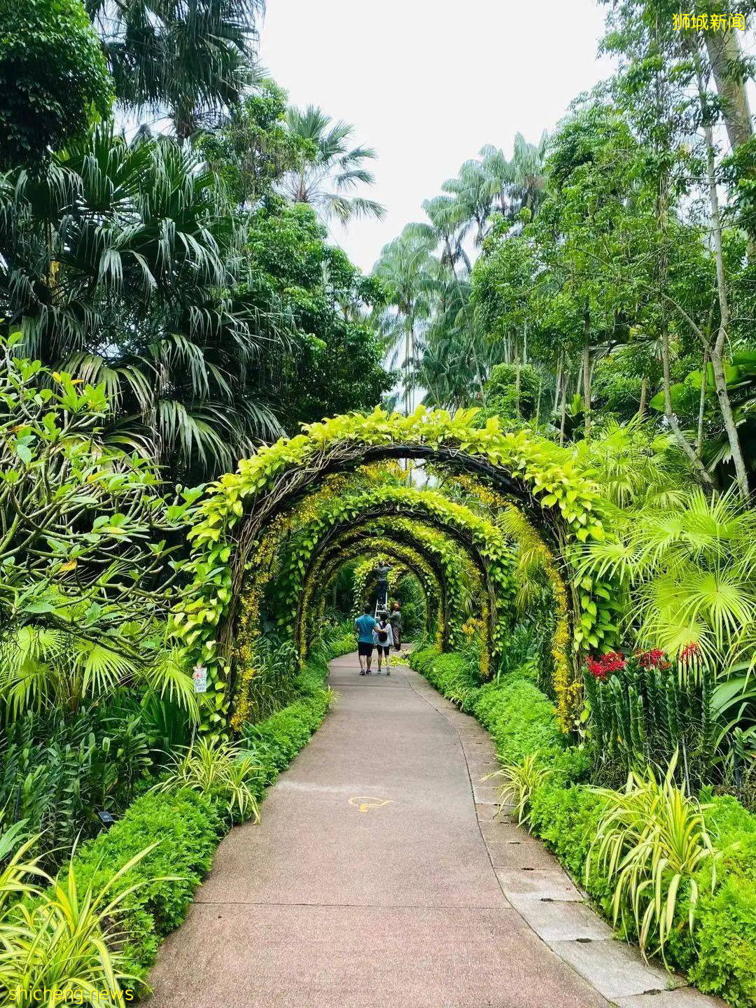 新加坡旅遊攻略 .