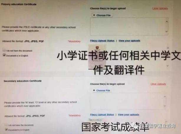 国际生PR申请步骤