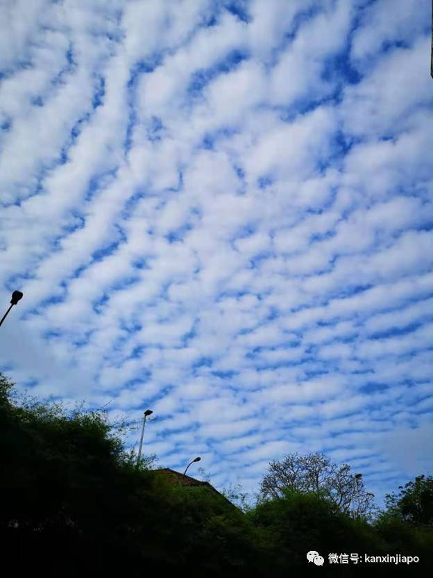 “地震雲”昨早刷爆朋友圈！很少看過這麽“怪異”的朝陽