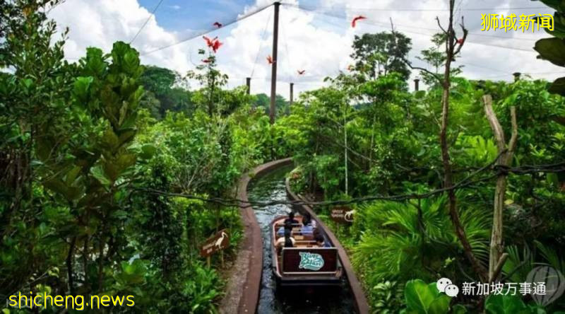 什麽是新加坡？盤點那些你不知道的新加坡知識!