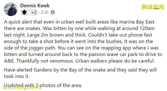 小心!有人在新加坡濱海灣花園徒步,被2米蟒蛇咬傷