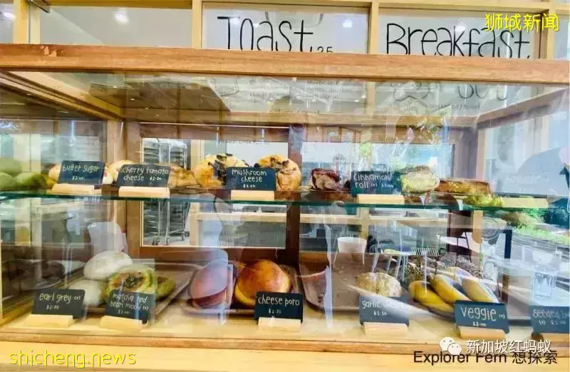 狮城这些位置很隐秘的咖啡馆,你可曾光顾过