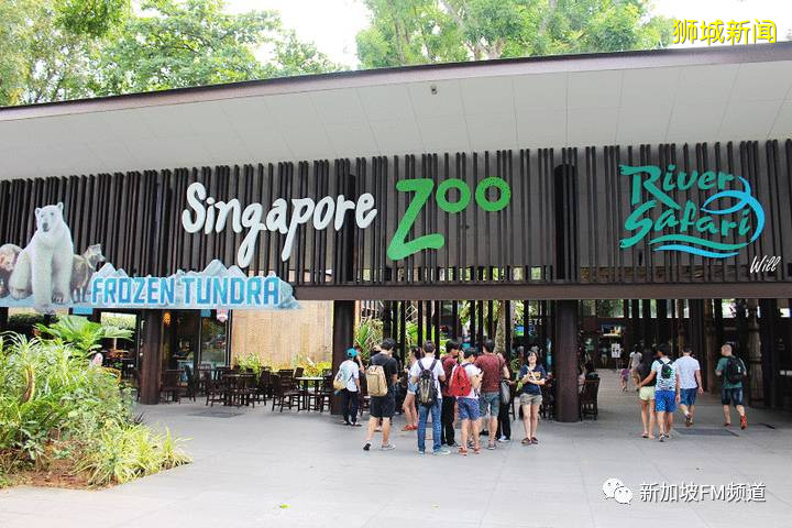 新加坡解封的第十二天,社區病例回升| 專家:仍需保持警惕