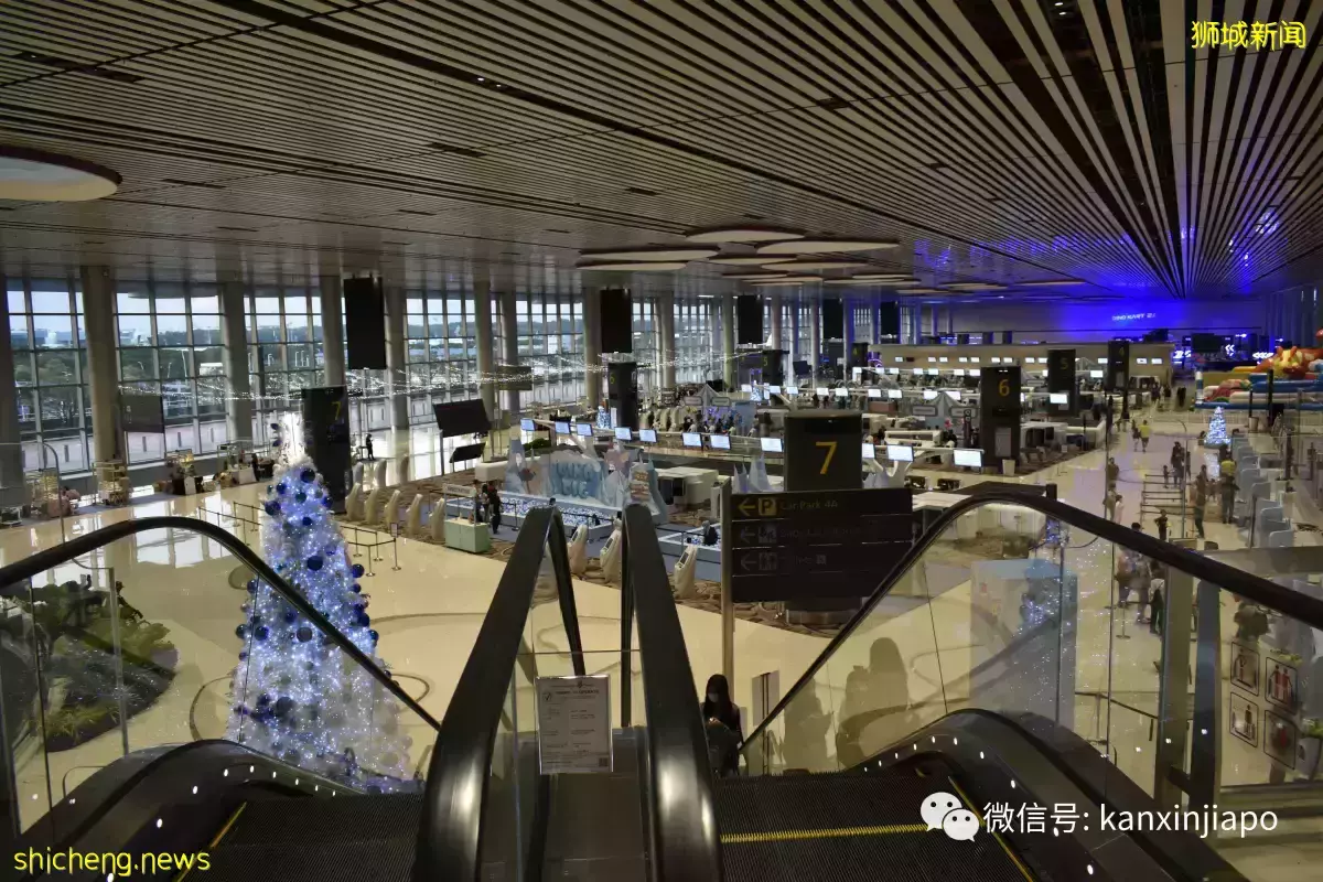 恐龍、卡丁車、公海之旅，親子聖誕去哪玩？看這篇就夠了