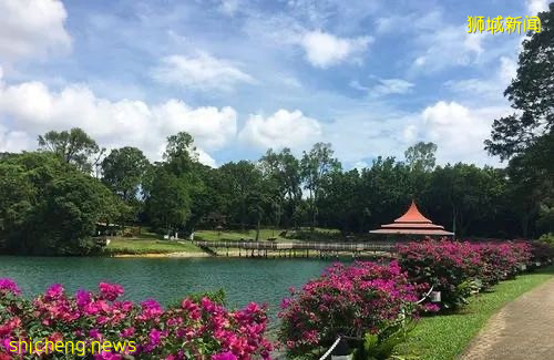 来新加坡玩刺激，一定不能错过麦里芝