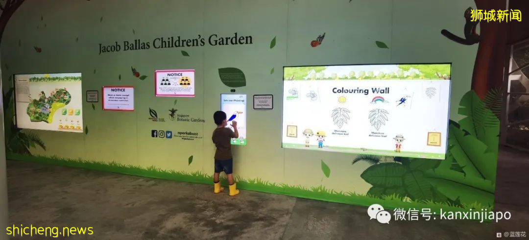 解锁新加坡遛娃宝藏地：世界遗产植物园之儿童乐园