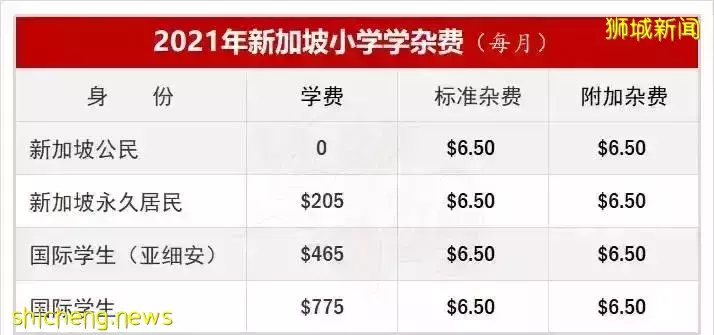 史上最強攻略!在新加坡如何選學校?國際學校vs政府學校,哪個好