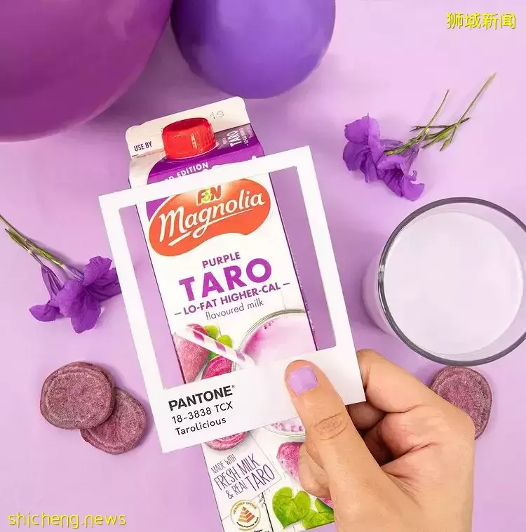Magnolia限量版榛子巧克力口味5月11日全岛发售！已有眼尖网友提前在超市买到啦