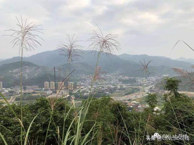 六进南安乐峰,守护潘受祖居