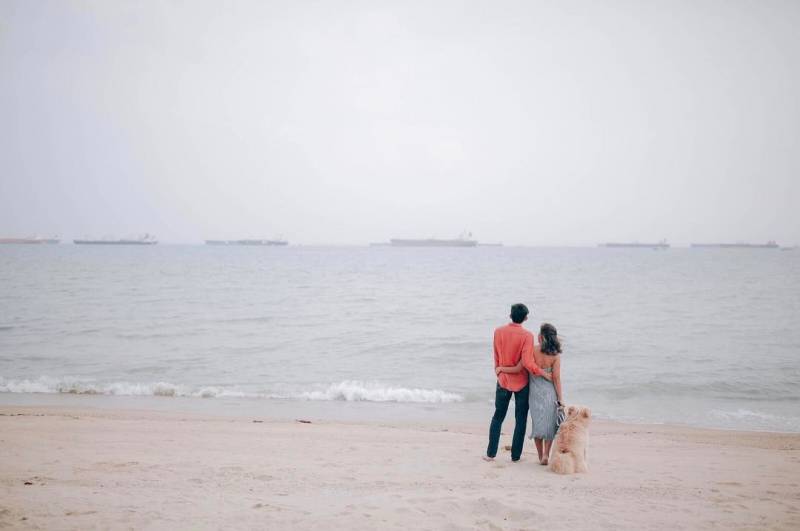 新加坡露營指南⛺️ 5大帳篷營地推薦！疫情結束後，逃離城市喧囂紮蓬去🌈