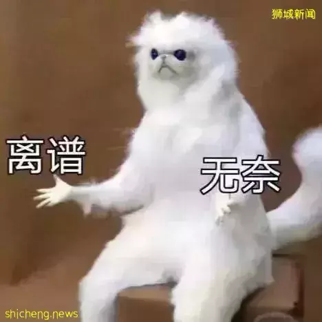 新加坡房價進入了2000時代，我們到底該不該買房