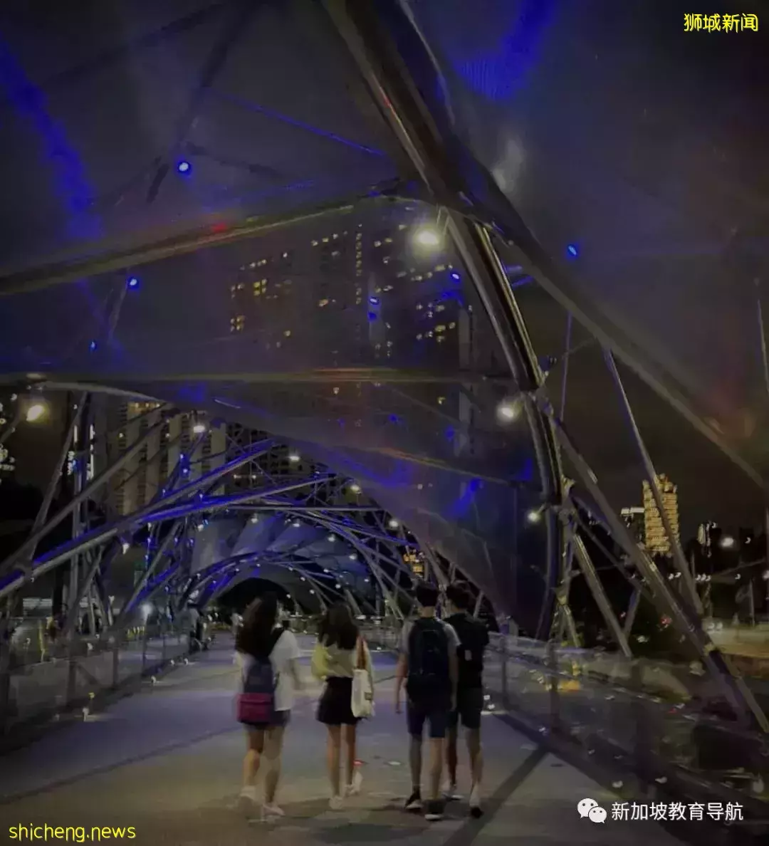 中、美、新三国鼎立哪家强?留学生们用亲身经历告诉你~(一)