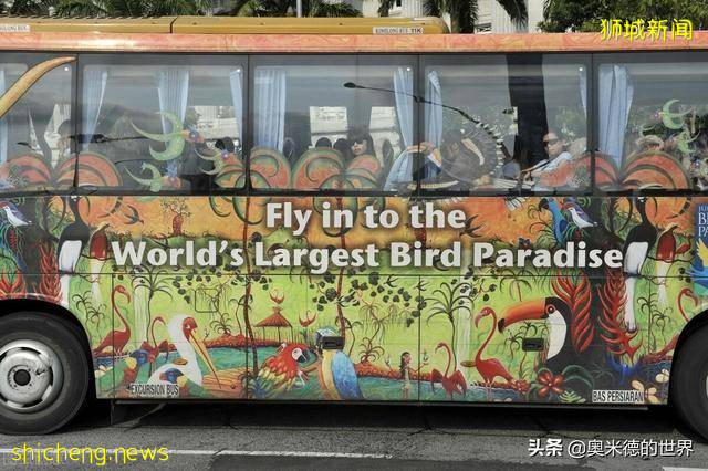 关于狮城“新加坡”的20个冷知识，你知道几个 