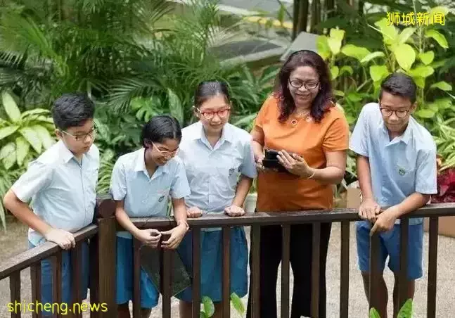 如何选择最适合孩子的新加坡小学