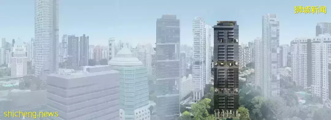 新加坡 3 Cuscaden【D10郵區 緊鄰烏節路地鐵站 稀有永久地契 五星級社區配套的城中豪華公寓】