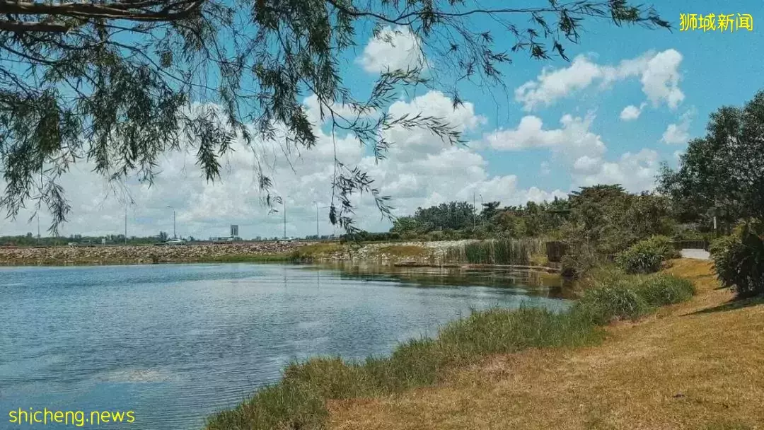 那些新加坡不睡覺的夜貓子，都在幹什麽