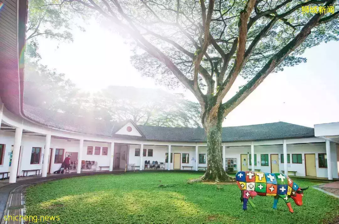 史上最強攻略!在新加坡如何選學校?國際學校vs政府學校,哪個好