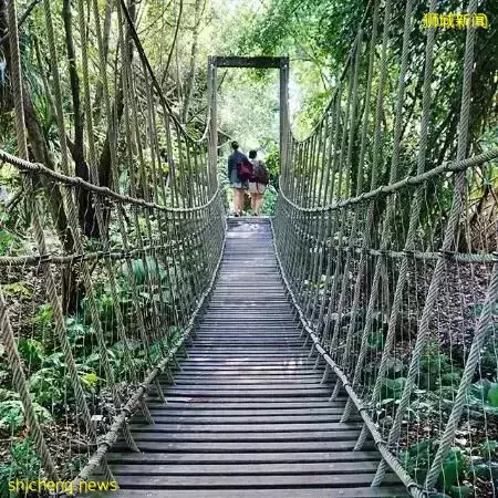 還沒安排4天長假？亞洲最大兒童花園，免費還無需預約