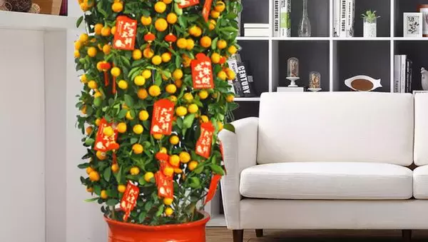 在新加坡過農曆新年，有哪些慶祝活動和習俗