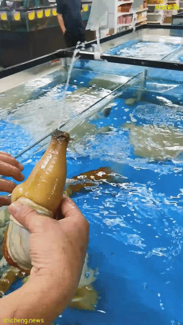 新加坡再次解封後，這家中國超市火了！80多種海鮮$2起！小龍蝦辣條包點東北大米扛回家