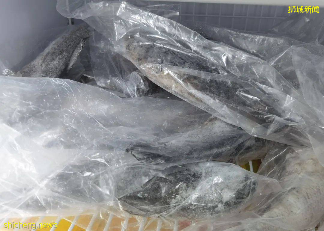 新加坡再次解封後，這家中國超市火了！80多種海鮮$2起！小龍蝦辣條包點東北大米扛回家