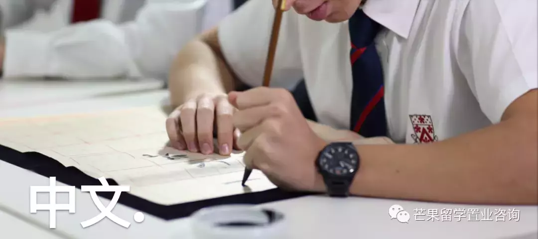 來自英國的百年精英院校——新加坡德威國際學校