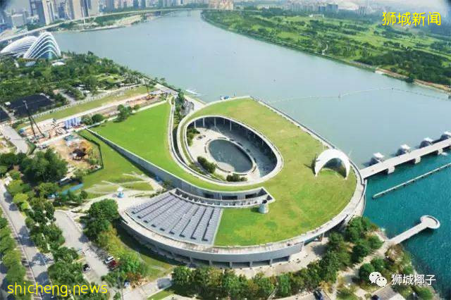 今天,新加坡被大暴雨淹沒了!