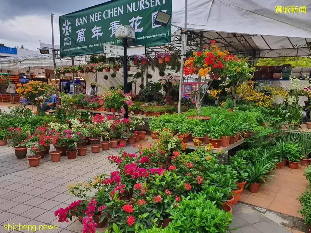 大巴窑的居民看过来!Courts前面的夜市已开始了~近40个摊位打造美食街,吃喝玩乐全都有👍