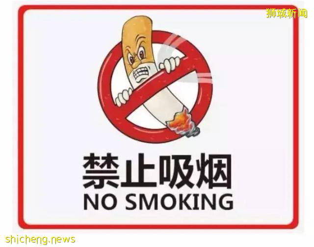 帶你看看真實的新加坡，絕對和你想像中不一樣