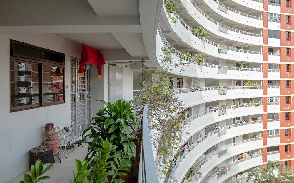 快過年了，竟有人在新加坡組屋走廊開“養雞場”，30只好熱鬧