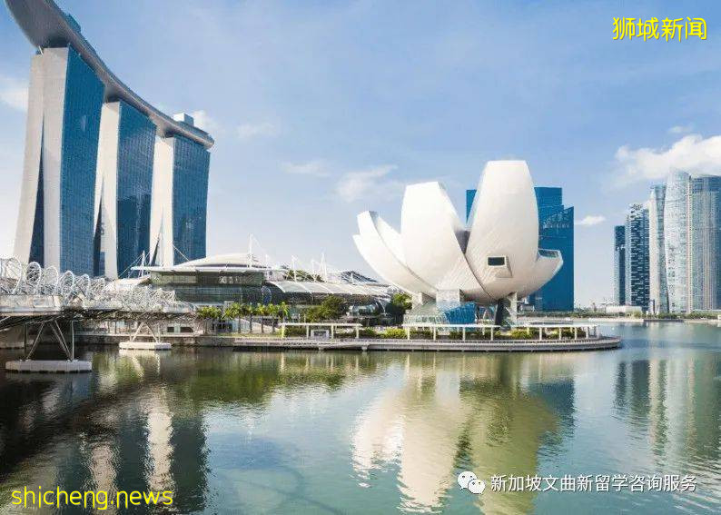 新加坡留學福利政策大盤點!速速來get