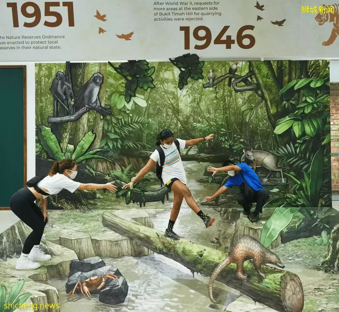 帶娃逛遍新加坡的森林和水庫，9條適合兒童徒步的路線