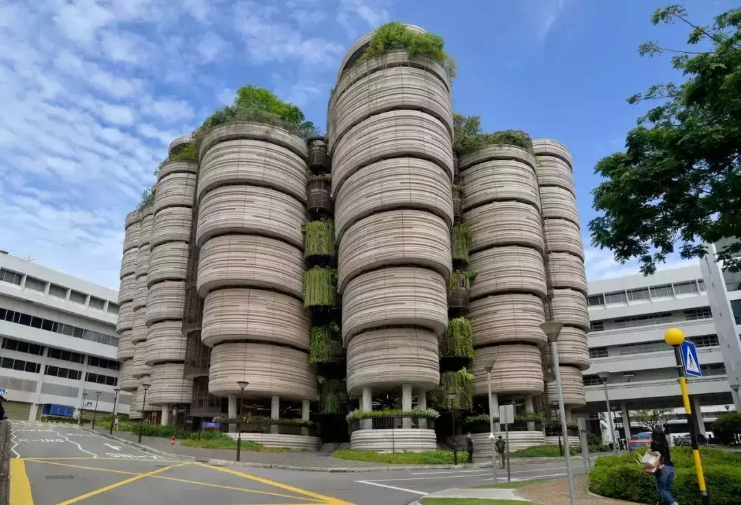 無需雅思!新加坡中文授課的碩士課程大盤點