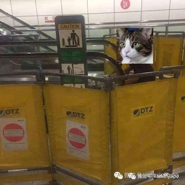 新加坡Vivocity電動扶梯“咬”人事故