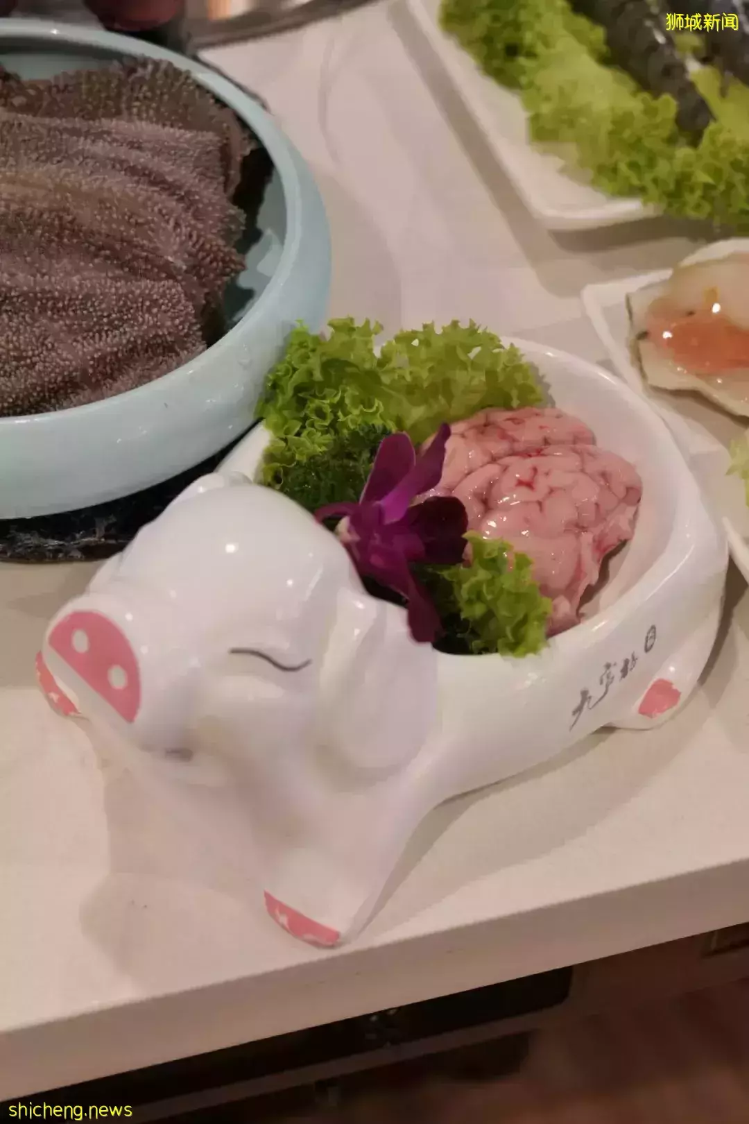 新加坡這家九宮格火鍋太贊了！不限量自助、免費湯底、送飲料